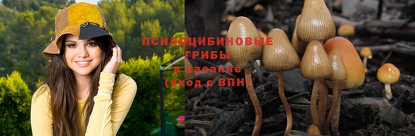 MDMA Лиски