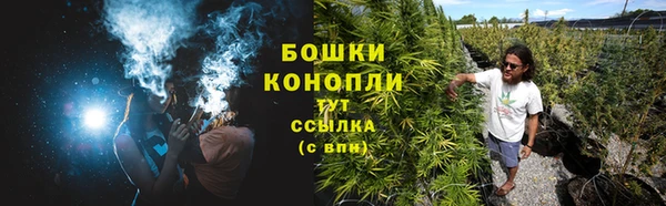 spice Липки
