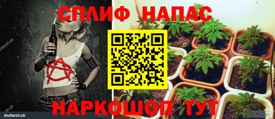 молекула духа Бийск